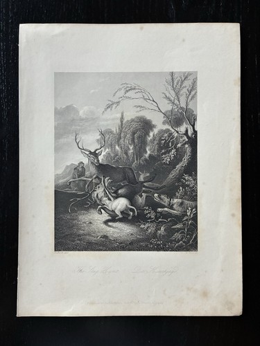 1850 the stag - the,