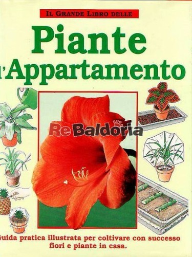 Grande libro delle piante - grande,