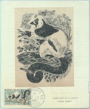 83738 - MADAGASCAR - Storia Postale - MASSIMA CARTOLINA - 1962 FAUNA Lemure
