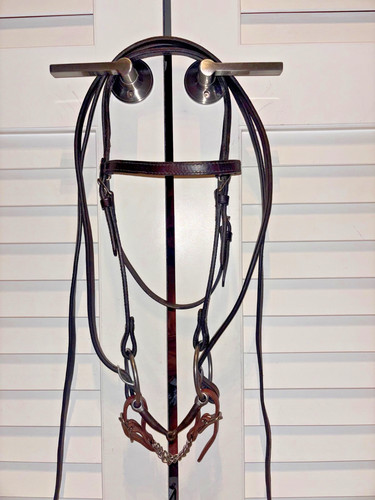 Briglia cavallo western - , olio