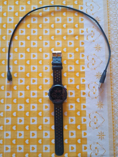 Garmin forerunner 245 music - garmin,