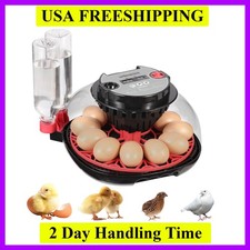 Incubatrice 12 Uova con