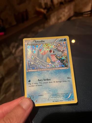 Totodile 2016 mcdonalds - 5/12,