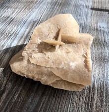 MINERALI Rosa del Deserto del Sahara, Cristallo di Gesso Naturale per Collezione