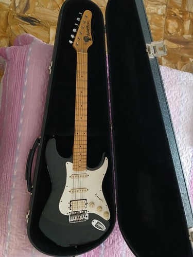 Chitarra elettrica washburn - chitarra,