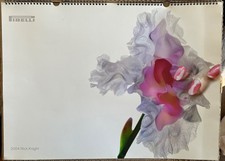 Calendario Pirelli 2004 Nick