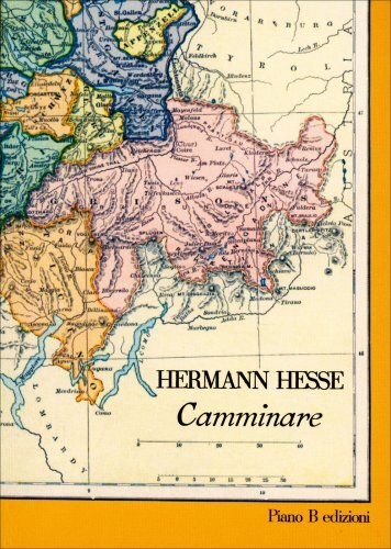 Libro camminare hermann - libro,