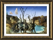 Cigni elefanti riflettenti - cigni,