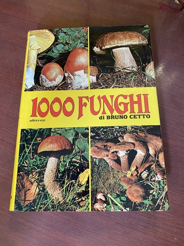 1000 funghi bruno cetto - bruno,