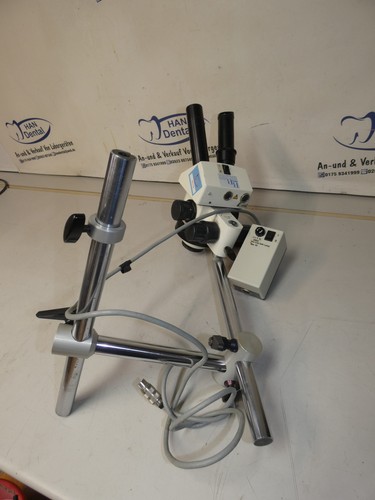 Stereomicroscopio incl
