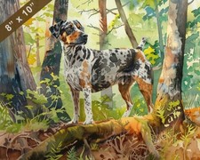 Catahoula Leopard Dog