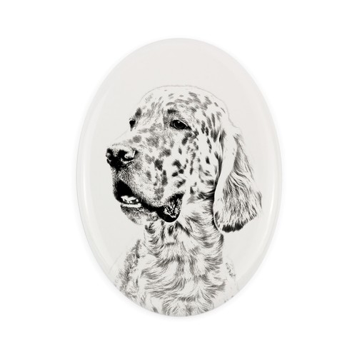 Setter inglese lapide con foto