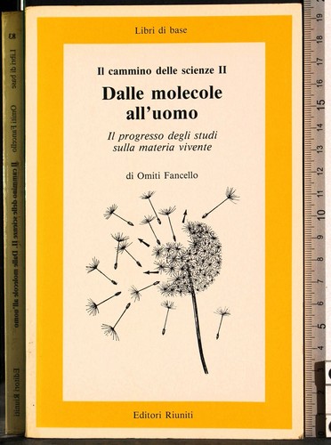 Cammino delle scienze - cammino,