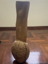 Legno Corbezzolo Bellissimo