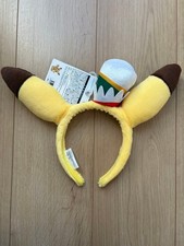 Pokemon Pikachu Fascia Costume