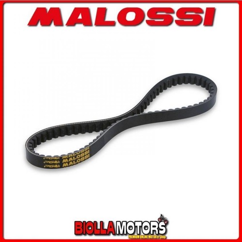6118140 cinghia variatore - 6118140,