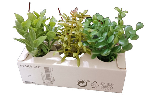 Ikea fejka artifi pianta - ikea,