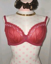 Bra INTIMISSIMI Lingerie