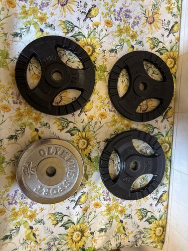 Dischi bodybuilding ghisa - in, 5