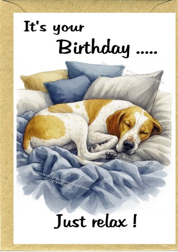 Biglietto compleanno pointer - compleanno,