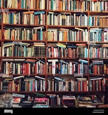 Lotto blocco stock di 50 libri