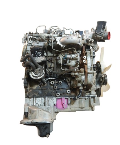 Motore per nissan - motore, np300