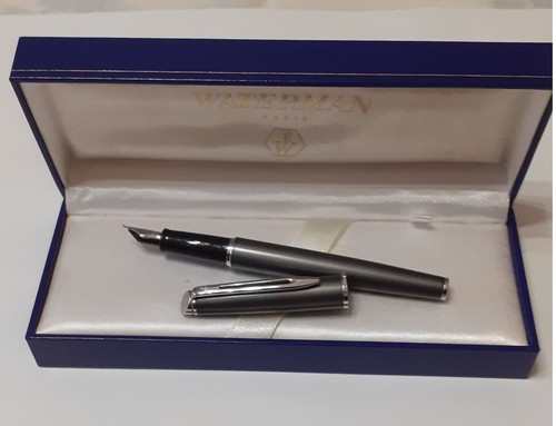 Waterman stilografica penna
