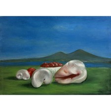 Mario Russo – Conchiglie e