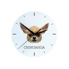 Chihuahua a pelo corto