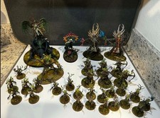 Age of Sigmar Pro dipinto