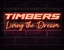 Insegna led neon 60 cm x 20 cm