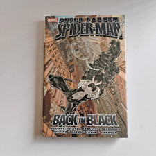 Peter Parker Spider-Man Back