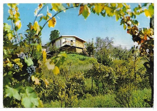 Firenze mariapoli - -,