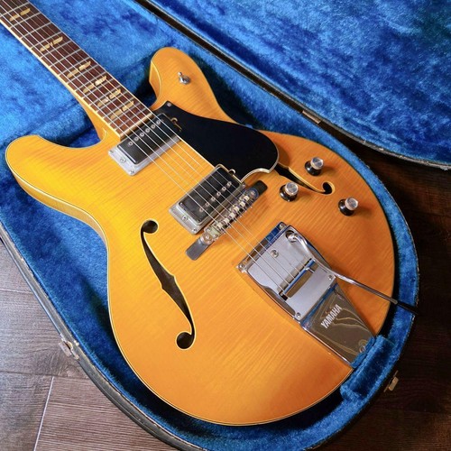 Chitarra semi acustica vintage - chitarra,