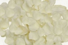 1500 Petali di rosa finti