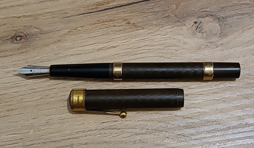 Penna stilografica waterman - stilografica, 12