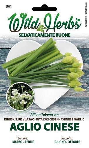 39548 wild herbs semi - semi, aglio