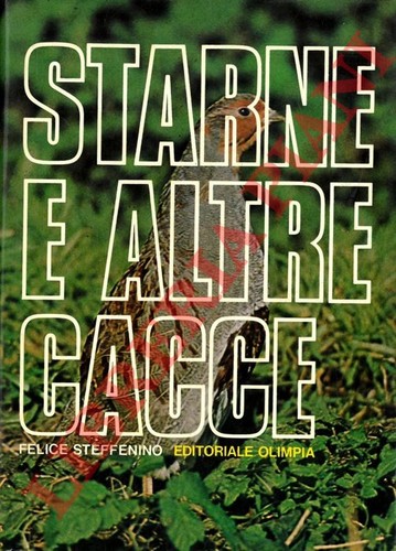 Steffenino felice starne e - steffenino,