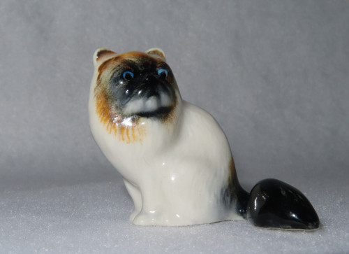 Gatto birmano seduto klima - birmano,