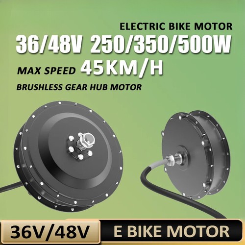 Ingranaggio brushless bici