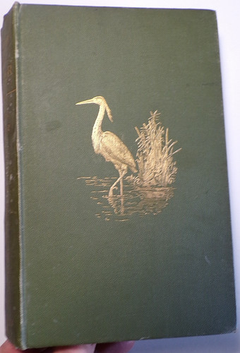 Rod river 1892 fly fishing - 1892, fly-fishing