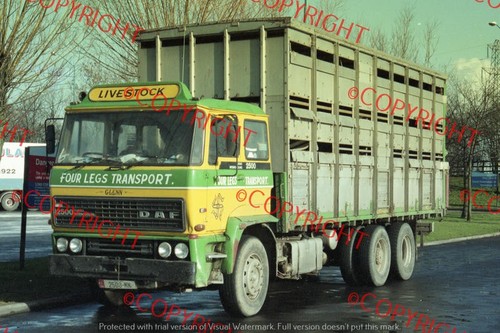 Truck photo four legs - truck,