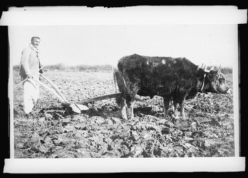 Foto albania 1910 agricoltori - 1910,