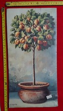 STAMPA D'AUTORE MARCELLO M