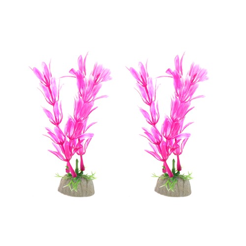 2pz acquario piante - 2pz,
