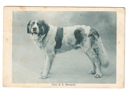 1930 antica cartolina foto