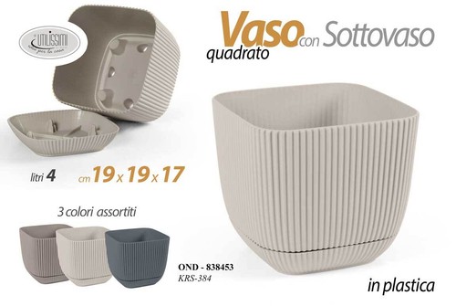 Vaso piante grasse fiori - grasse,