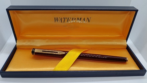 Penna stilografica waterman - stilografica,
