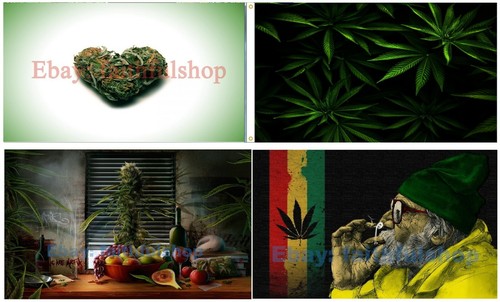 Cannabis facts weed marijuana - cannabis,