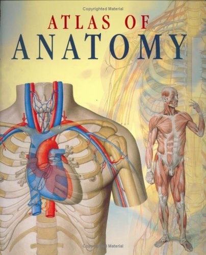 Atlas anatomy giunti - of, anatomy-giunti